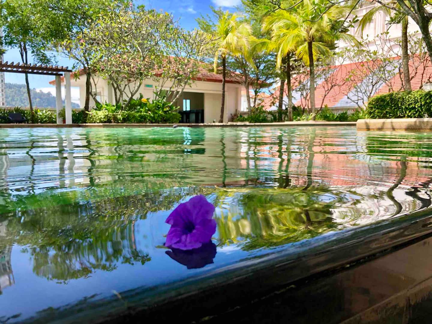 Shared swimming pool for residents and guests of the complex